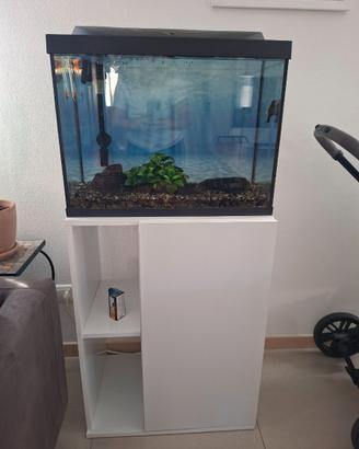 Acquario 80 l