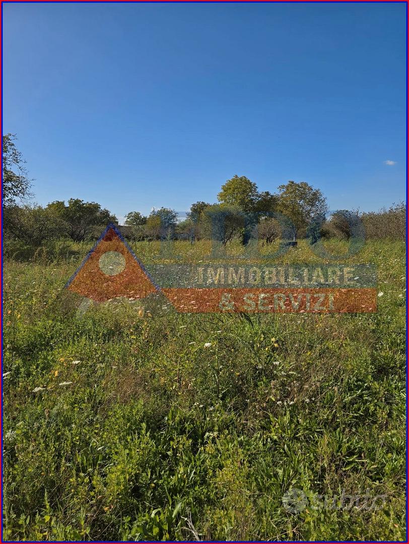 Terreno agricolo di 3.700 mq - Altro