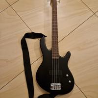 Basso Cort Action Junior Ampli Fender Rumble 15