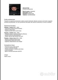 Pizzaiolo con esperienza