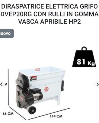 Diraspatrice