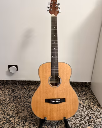 Chitarra acustica STAGG
