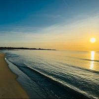 Villetta immersa nella pineta