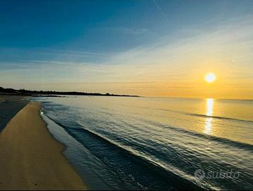 Villetta immersa nella pineta