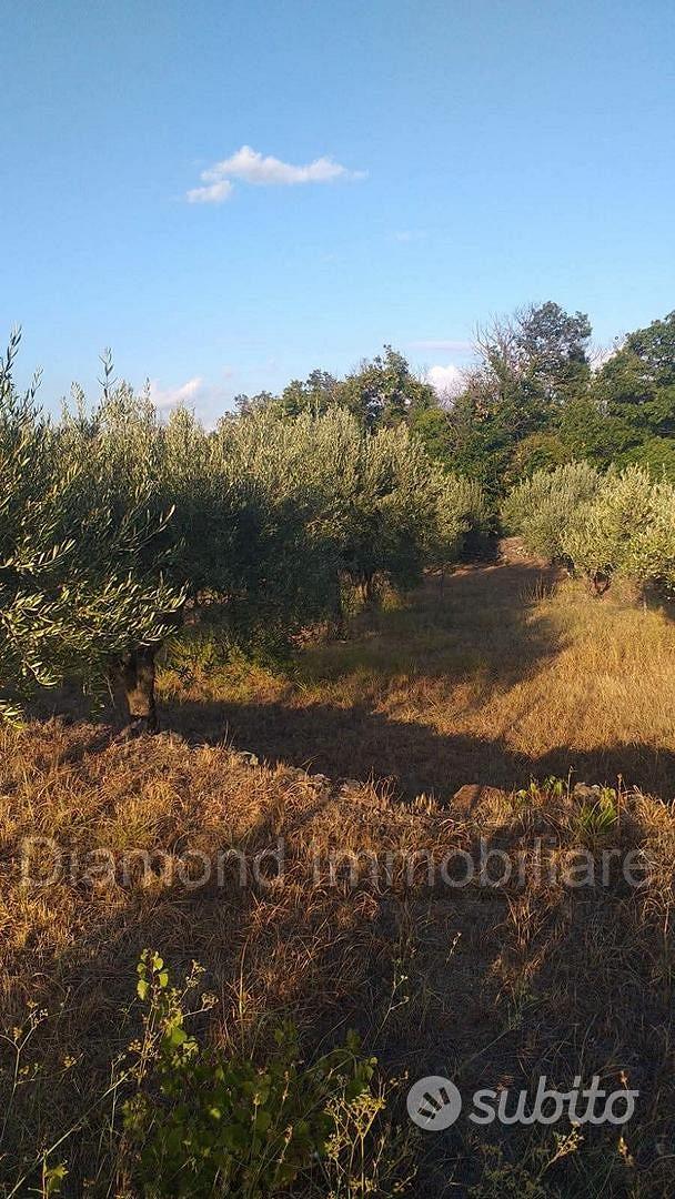 Terreno con fabbricato a Linguaglossa - Vista 5