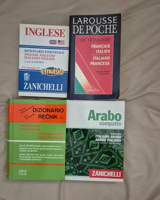 Lotto 4 Dizionari Bilingue
