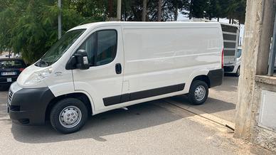 Fiat ducato anno 2009