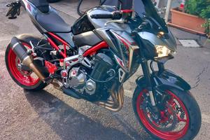 Kawasaki Z900 2019