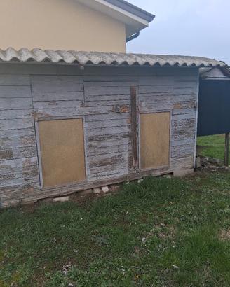 casetta per piccioni