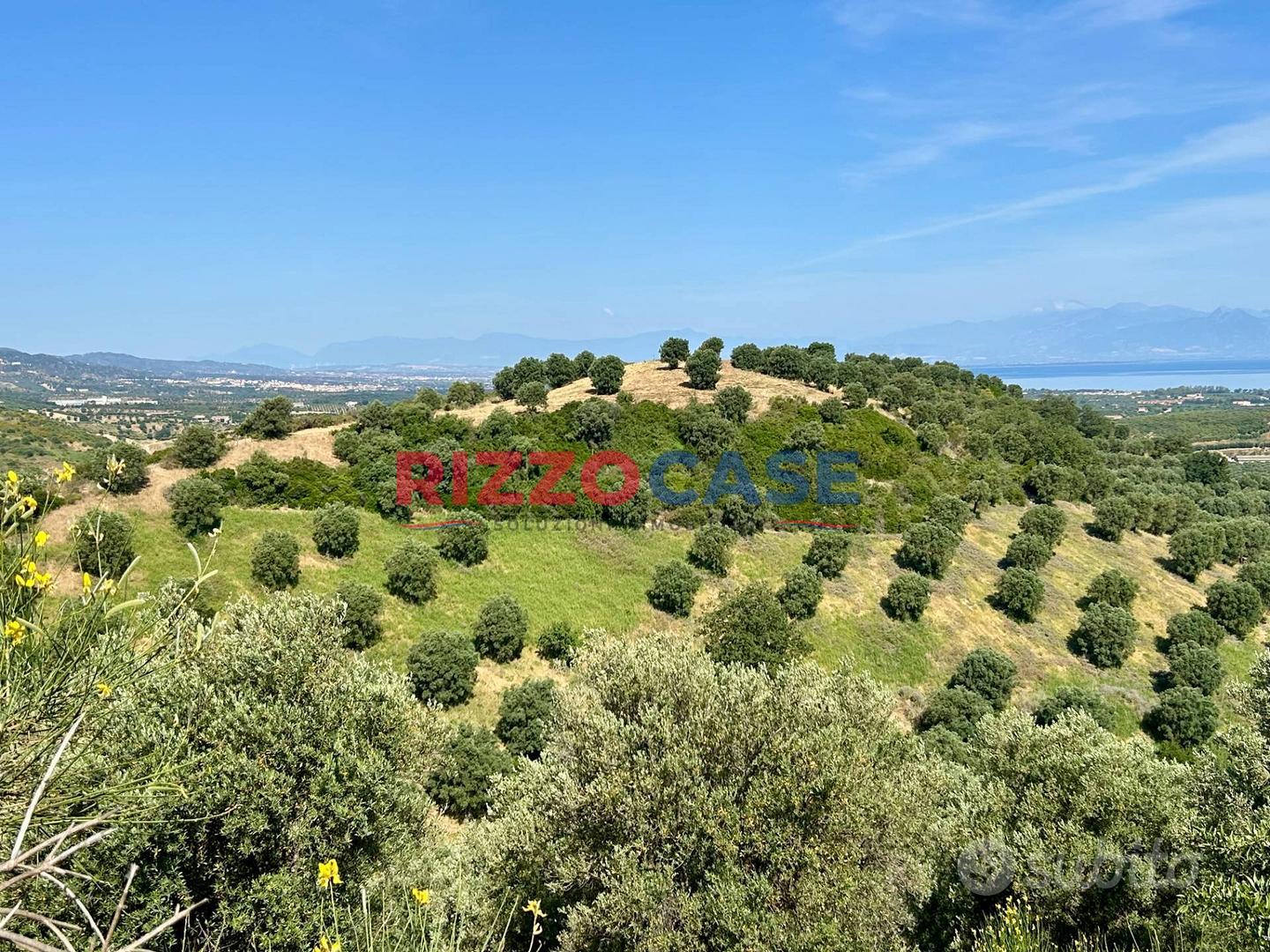 Terreno agricolo - Corigliano-Rossano - Vista 3
