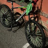 Merida full carbon