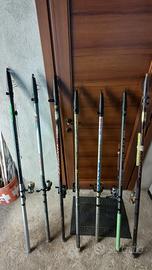 canne da recupero Bolognese 