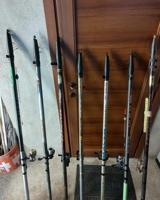 canne da recupero Bolognese 