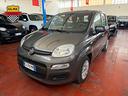 fiat-panda-1-0-firefly-hybrid-s-s-70cv