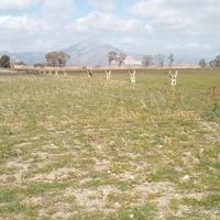 Terreno, zona Mondragone