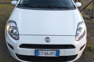 Fiat Punto 2014 1.3 multijet