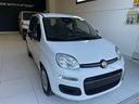 fiat-panda-1-0-firefly-s-s-hybrid-icon