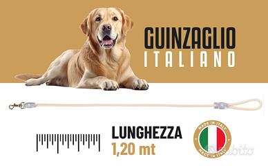50 guinzagli per cani