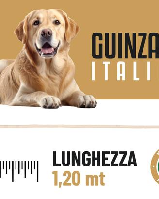 50 guinzagli per cani