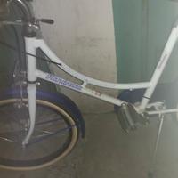 bici olandesina 20