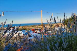 Oasi di pace a Montebello