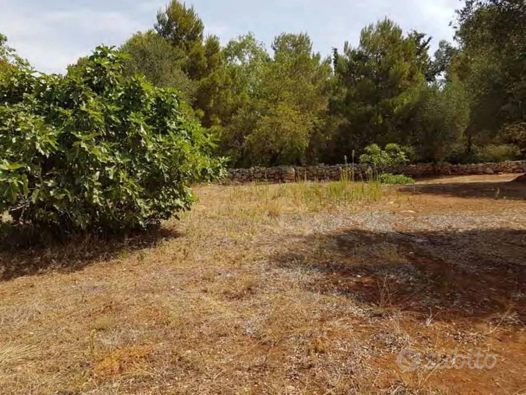 Immobile in asta di 3181 m² a Nardò - Vista 3