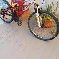Bici da 24