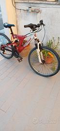 Bici da 24