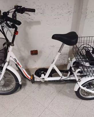 Bici a 3 ruote elettrica triciclo ebike tre ruote