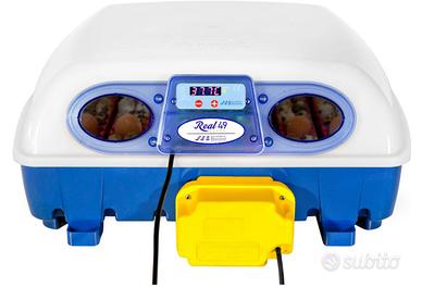 Incubatrice REAL 49 automatica