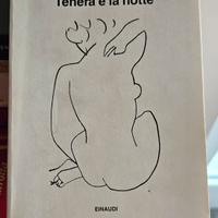 Tenera è la notte - F.S. Fitzgerald 