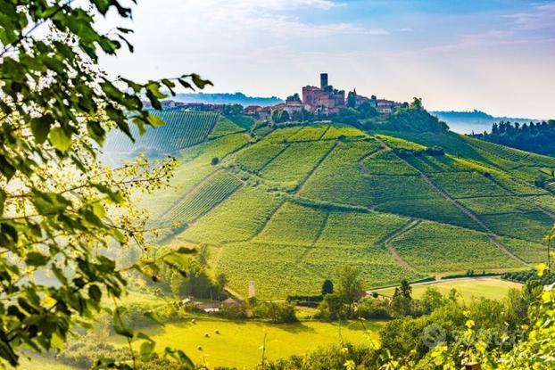 Magiche Langhe Piemontesi