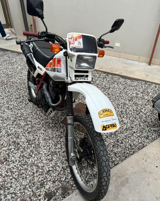 Honda XL 600R