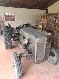 No 3 trattori d'epoca Ferguson TE 20 in ottime con