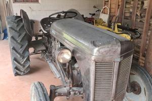 No 3 trattori d'epoca Ferguson TE 20 in ottime con