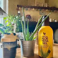 Aloe vera da bere succo