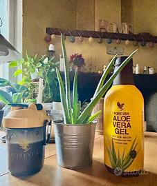 Aloe vera da bere succo
