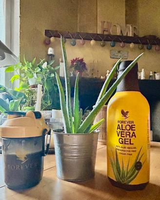Aloe vera da bere succo