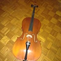 violoncello