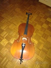 violoncello