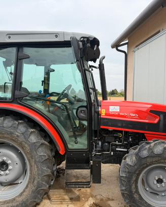 Same dorado 80 natural