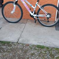 bicicletta per ragazza