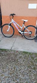 bicicletta per ragazza