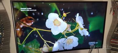 TV Samsung curvo 40 pollici con difetto