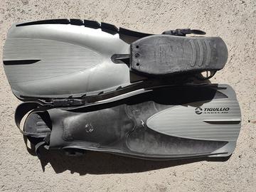 pinne Tigullio mis. Media