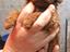 Immagine 1