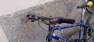 Bicicletta ragazzo
