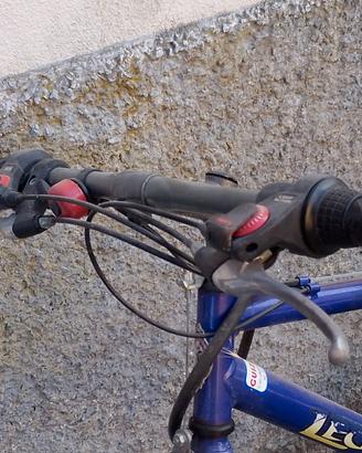 Bicicletta ragazzo