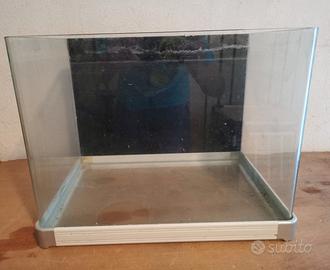 Acquario 20 lt con filtro e cannolicchi