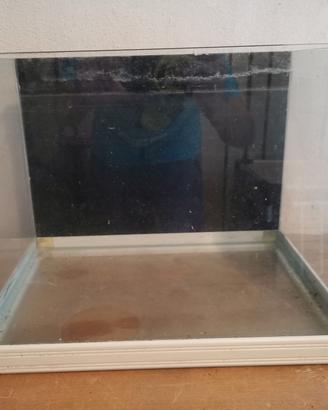 Acquario 20 lt con filtro e cannolicchi